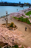 PDX Water FRont spring