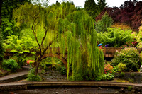 Crystal Springs garden