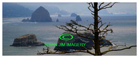 Oregon Coast