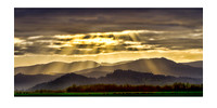 Off I-5 Hwy near Coburg, Oregon