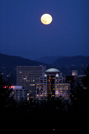 PDX @ full moon